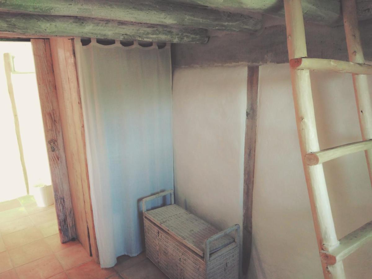 La Cabane En Bois Villemur-sur-Tarn Экстерьер фото