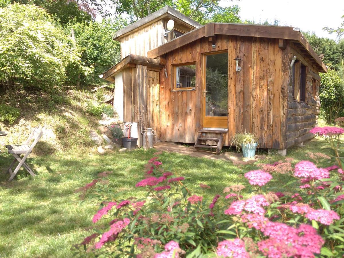 La Cabane En Bois Villemur-sur-Tarn Экстерьер фото