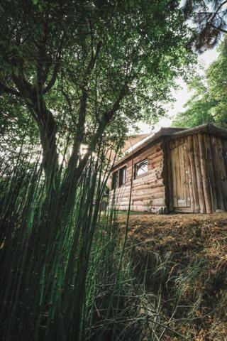 La Cabane En Bois Villemur-sur-Tarn Экстерьер фото